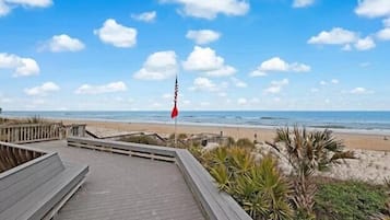 Playa en los alrededores