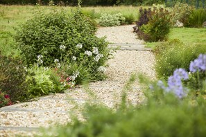 المنطقة المحيطة بالمنشأة