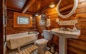Combined shower/tub, hair dryer, towels