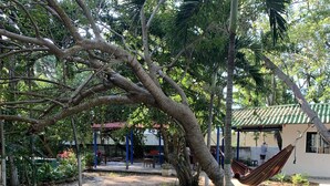 A garden area with a hammock, trees, and a building with a tiled roof. - Casa Campomar (Juan de Acosta)