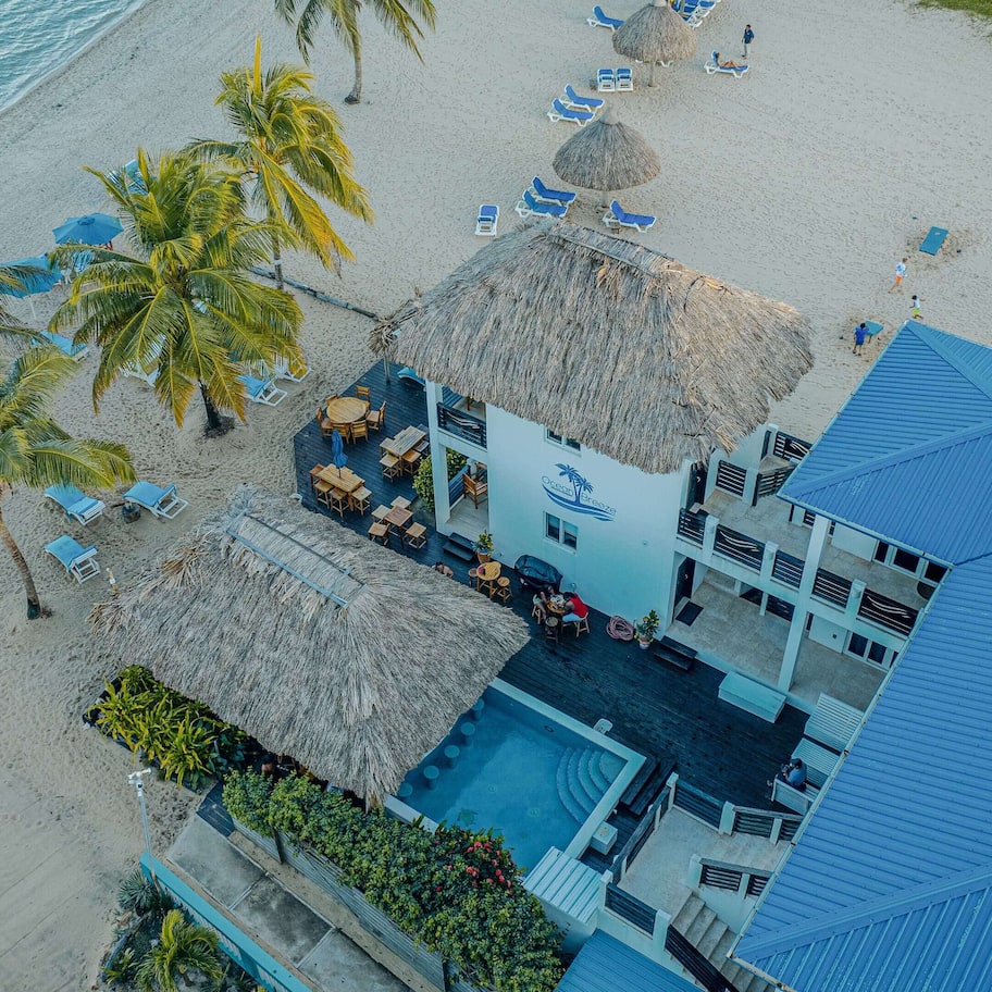 An aerial view of a beachside hotel with a pool, sun loungers, and palm trees.