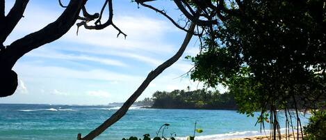 En la playa, camastros y toallas de playa