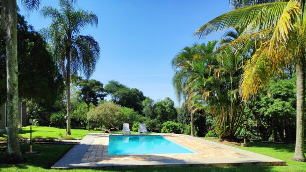 Une piscine rectangulaire, bordée d’une terrasse carrelée, entourée d’une pelouse verdoyante et de palmiers.