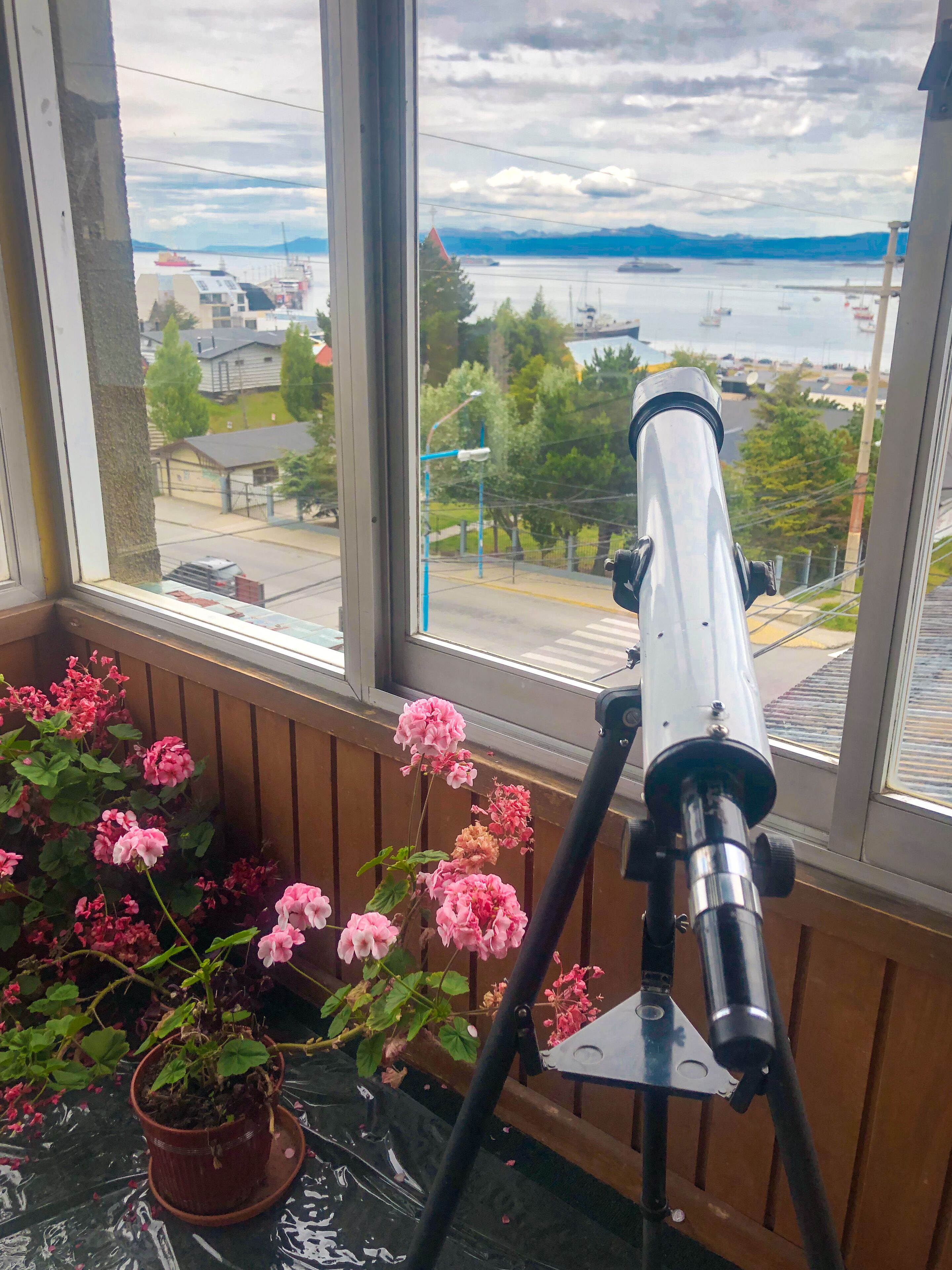 Foto - Hotel Mustapic