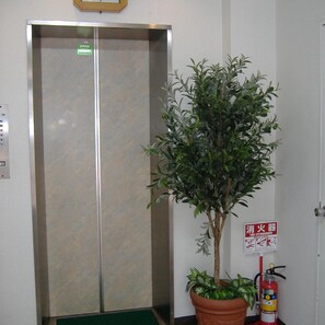 An elevator with a green floor mat, a potted plant, and a fire extinguisher on the wall. - Kisyaba Hotel (Kagoshima)