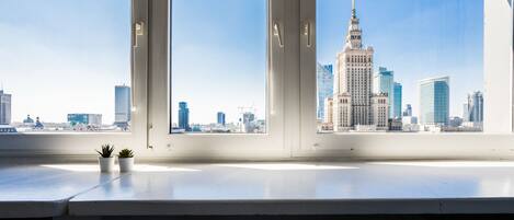 Apartment, City View | View from room