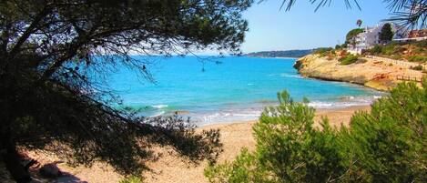 Playa en los alrededores y camastros