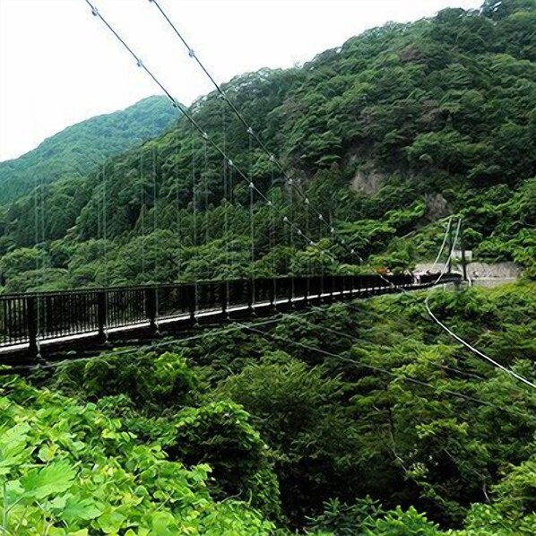 Un pont suspendu doté d’une rambarde métallique, entouré d’une forêt verdoyante et dense.