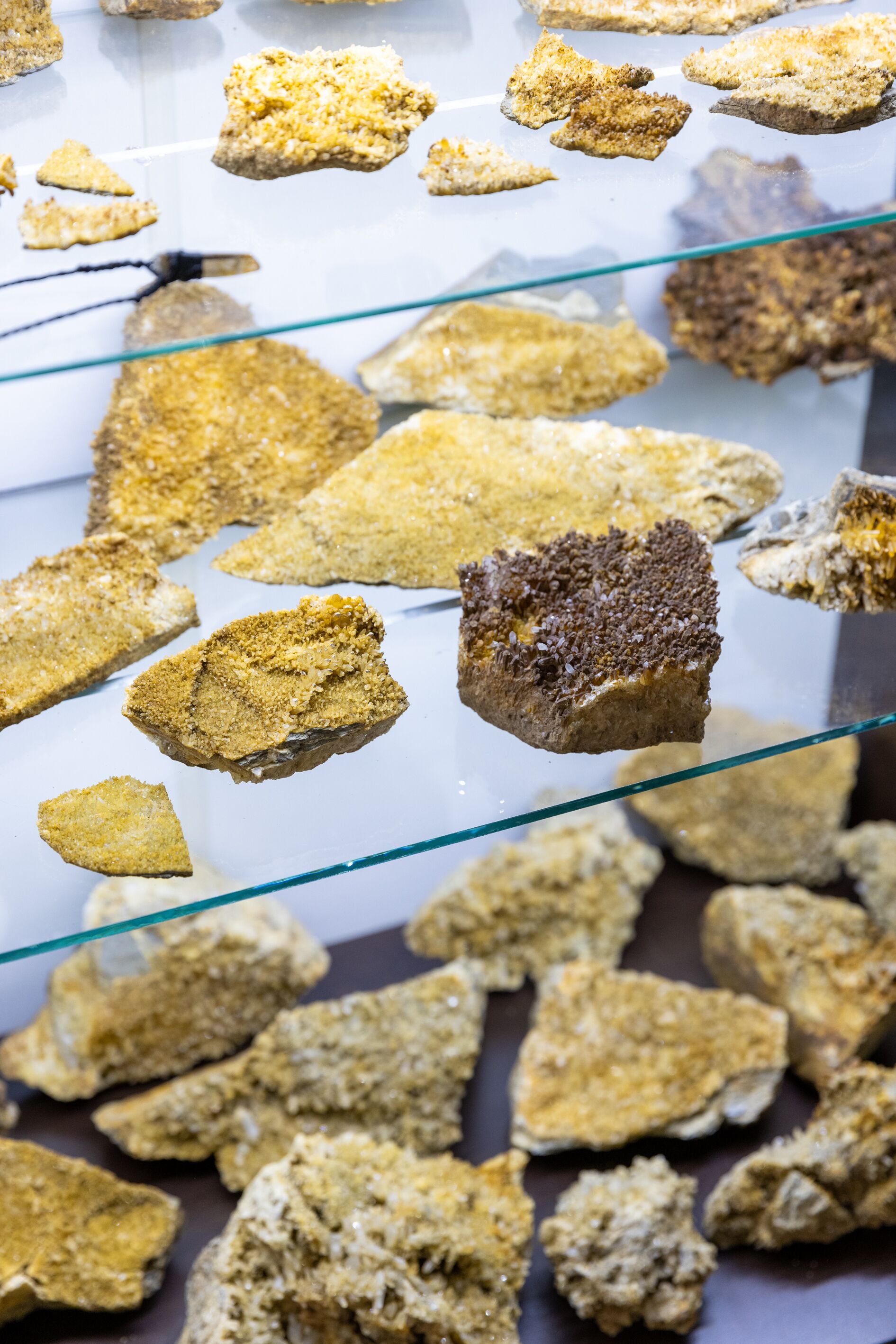 A display of variously sized and shaped rock specimens, likely for educational or scientific purposes.