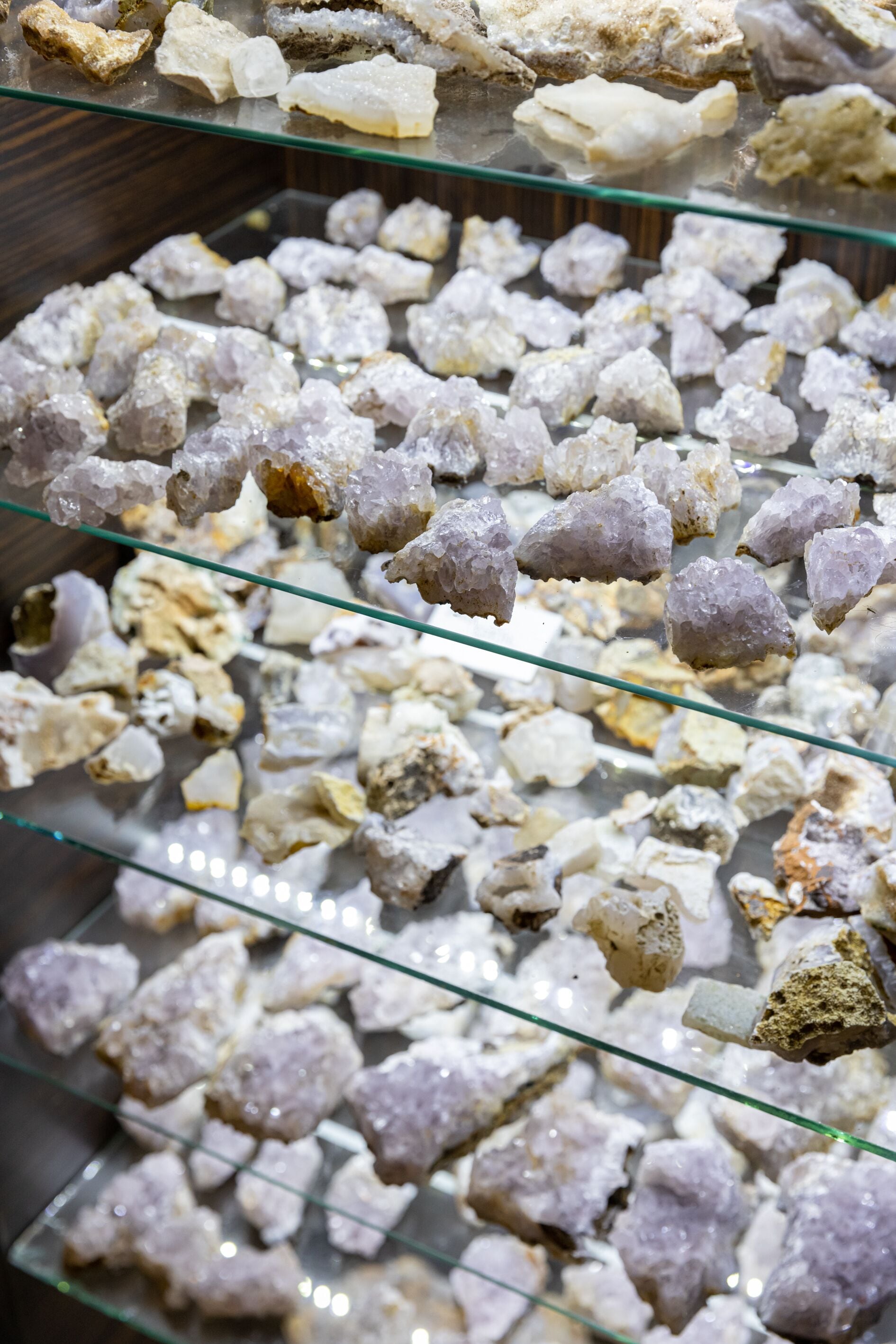 A display of various minerals and rocks on glass shelves.