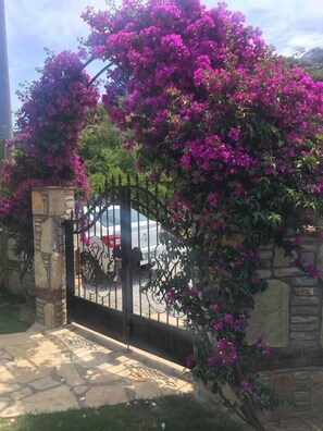 Property grounds - Located in the Maraş Area, close to local riverside restaurants and Town Center. (Dalyan Belediyesi)