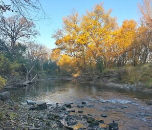 A river with autumn foliage and rocks in the foreground. - Room For Everyone! Book The Incredible Belltower Suites, Sleeps 16! (St Clair)