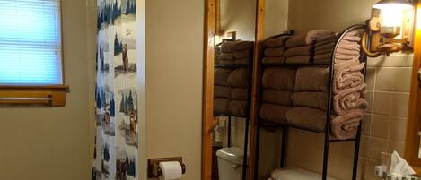 Combined shower/bathtub, hair dryer, towels, soap
