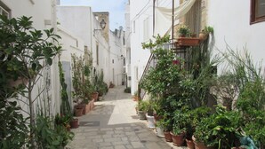 Un callejón estrecho con edificios blancos, plantas en macetas y un camino adoquinado.