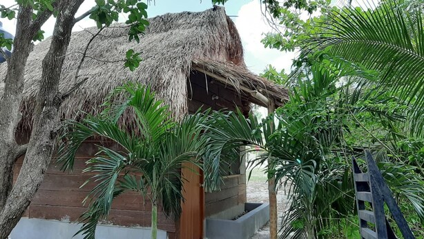 Exterior - Cabañas Chaac Calakmul (Calakmul)