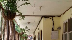 A corridor with a red sofa, potted plants, and a tiled floor. - Cabinas Coco Alegre (Sardinal)