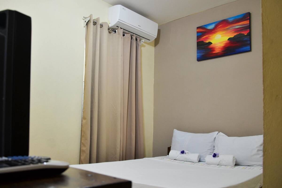 A hotel room with a bed, a painting of a sunset, an air conditioner, and a curtain.