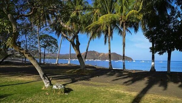 A park with trees and a view of the ocean. - Cabinas Coco Alegre (Sardinal)