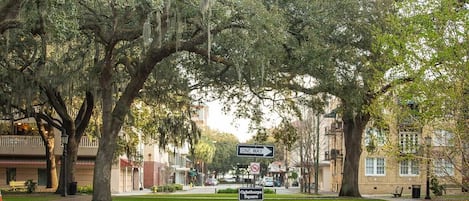 Stroll through a serene urban neighborhood lined with mature trees and historic buildings.