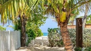 Un sendero arenoso que conduce a una playa con palmeras y vistas al océano.