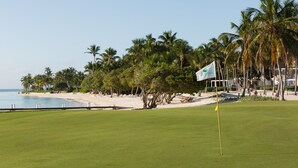 Ein Golfplatz mit einer Fahne auf dem Grün, Palmen und ein Strand im Hintergrund.