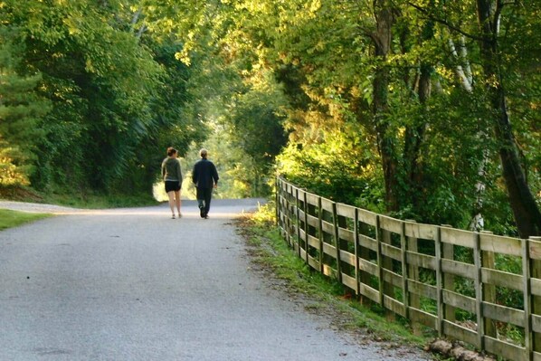 A paved path flanked by a wooden fence, leading through a wooded area.