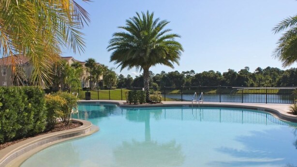 A clear swimming pool surrounded by palm trees and a fence.