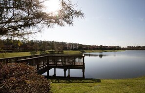 Apartment, Multiple Beds (Wonderful Apto Vacation Villa  (3BVT1) | Property grounds - Wonderful Apto Vacation Villa (Kissimmee)