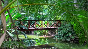 A wooden bridge over a pond surrounded by lush greenery. - Macaw #18 - Beach access penthouse - safe location, surfing, walking trails (Jaco)