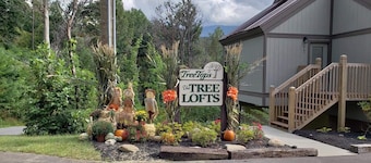 SMOKIIES Master Suite w/Whirlpl, Queen w/btrm, 2 twin Lofts
