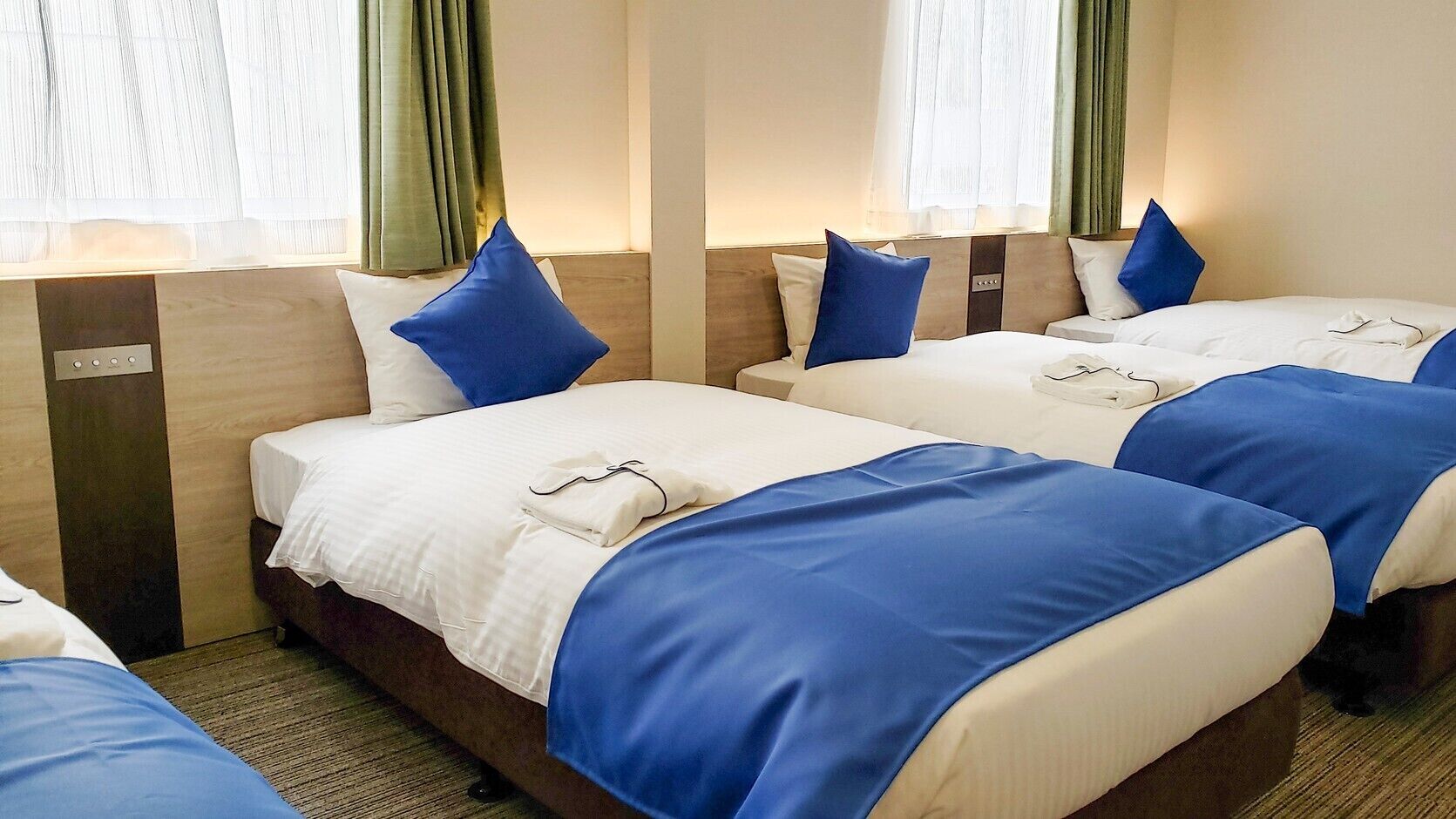 1 bedroom, down duvets, desk, blackout curtains