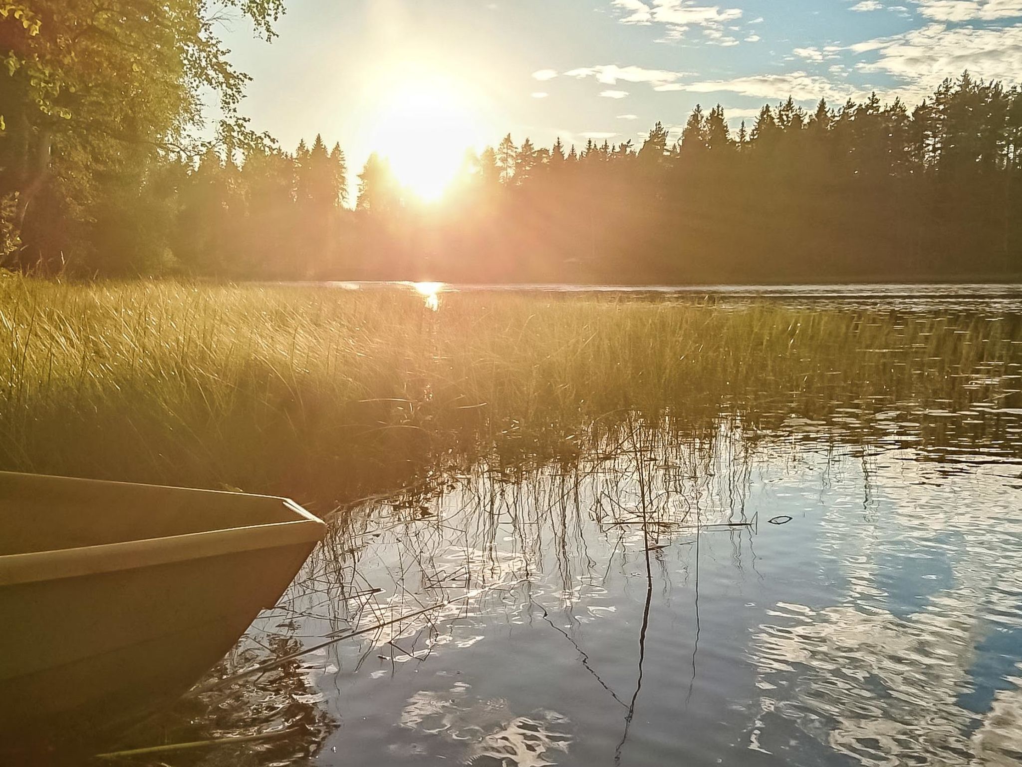 Ein ruhiger See mit einem am linken Ufer angedockten Boot, umgeben von hohem Gras und Bäumen unter blauem Himmel.