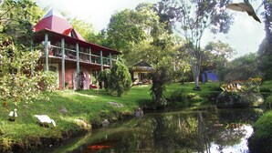 A house with a red roof and a pond with koi fish. - La Posada del Cucú (Salento)