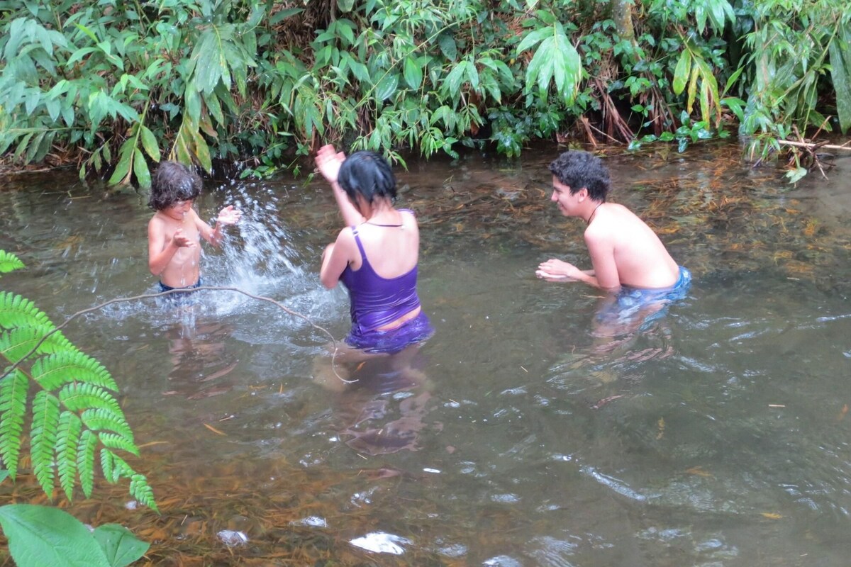 Un grupo de personas en una masa de agua poco profunda rodeada de vegetación exuberante.