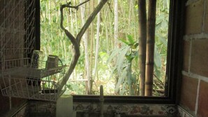 A kitchen with a window view of a bamboo forest. - La Posada del Cucú (Salento)