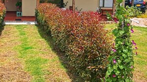 A building with a red roof, a porch with hanging flower baskets, and a well-maintained hedge in front. - Villa Cucha (Monguí)