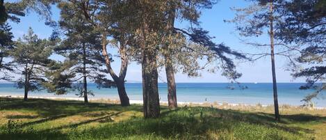Plage à proximité