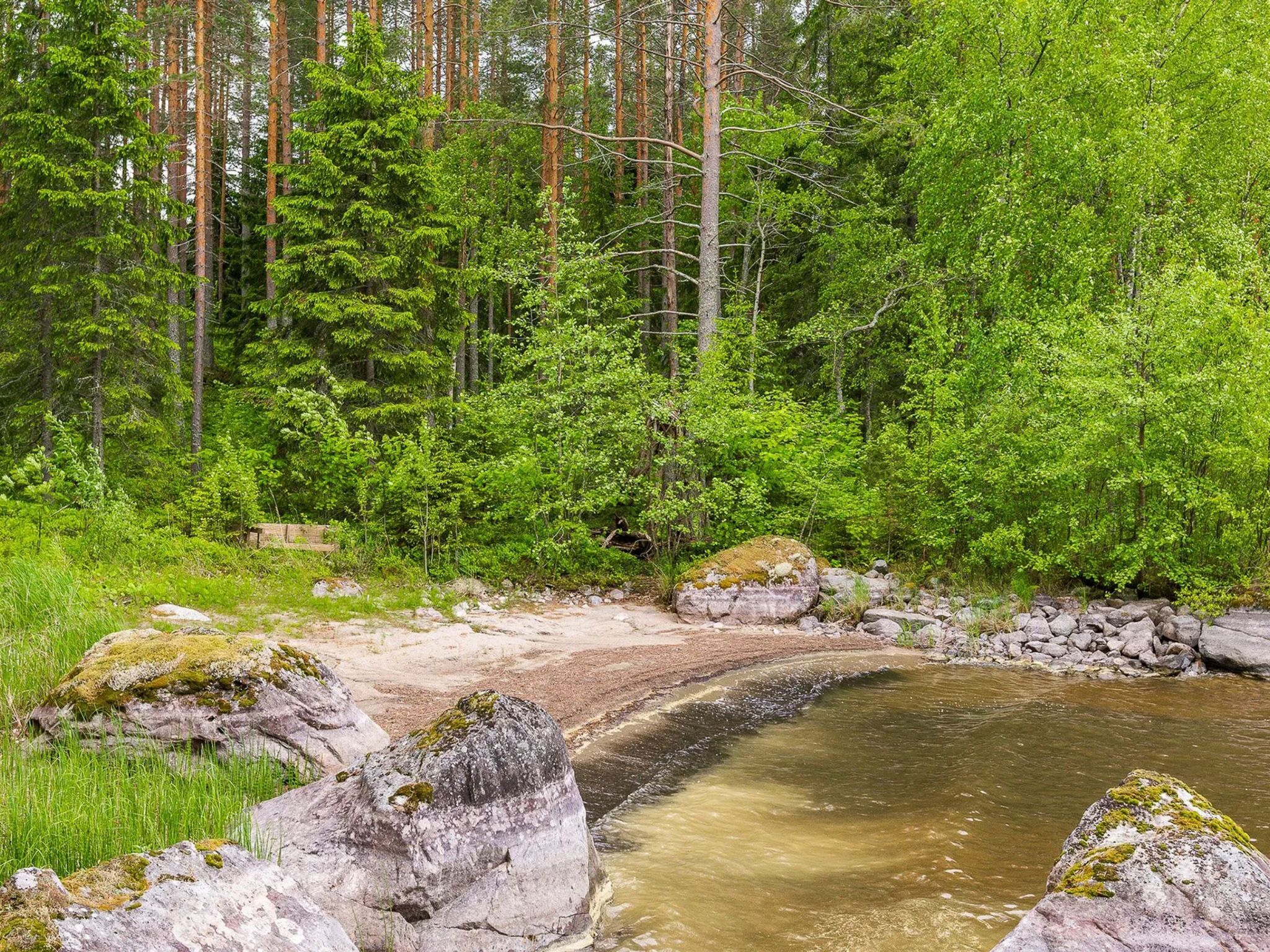 Een natuurlandschap met een kleine beek, omgeven door dicht groen bos en rotsachtig terrein.