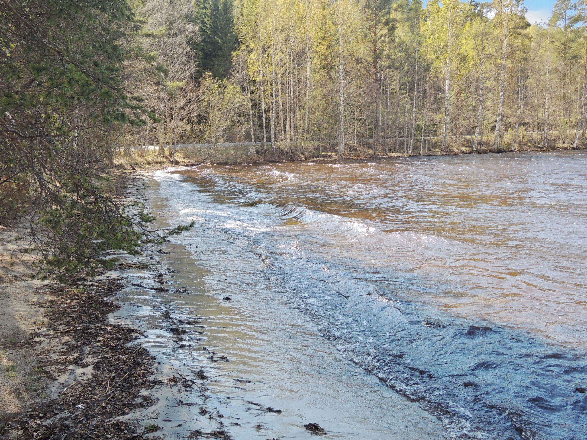 A river flowing through a forested area with trees on both sides.
