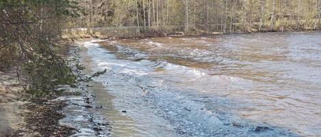 A river flowing through a forested area with trees on both sides.