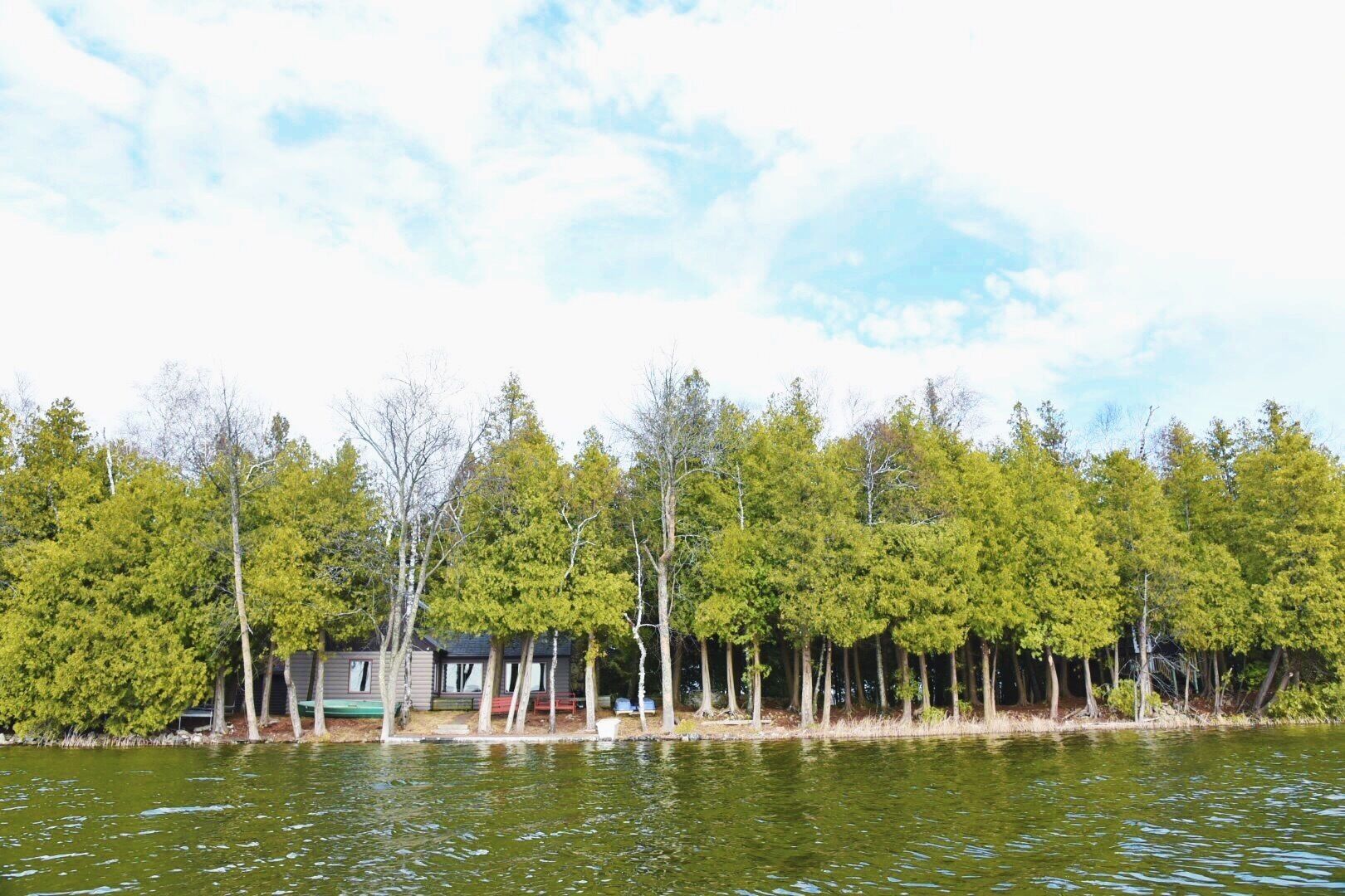 A lakeside cabin with a dock, surrounded by dense trees.