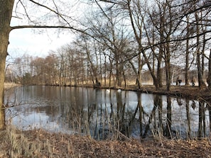 Niet-geclassificeerde afbeelding, 3 van 19, knop