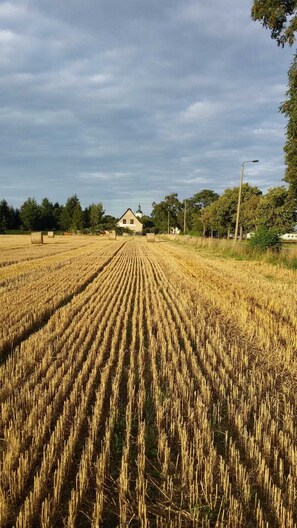 Unclassified image, 2 of 19, button - Holiday house an den Linden 30 - holiday house, An den Linden 30 (Torgau)