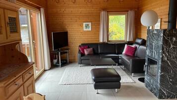 Fernseher, Kamin, DVD-Player