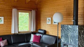 Fernseher, Kamin, DVD-Player