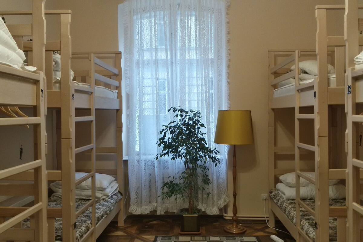 A room with bunk beds, a potted plant, and a lamp.