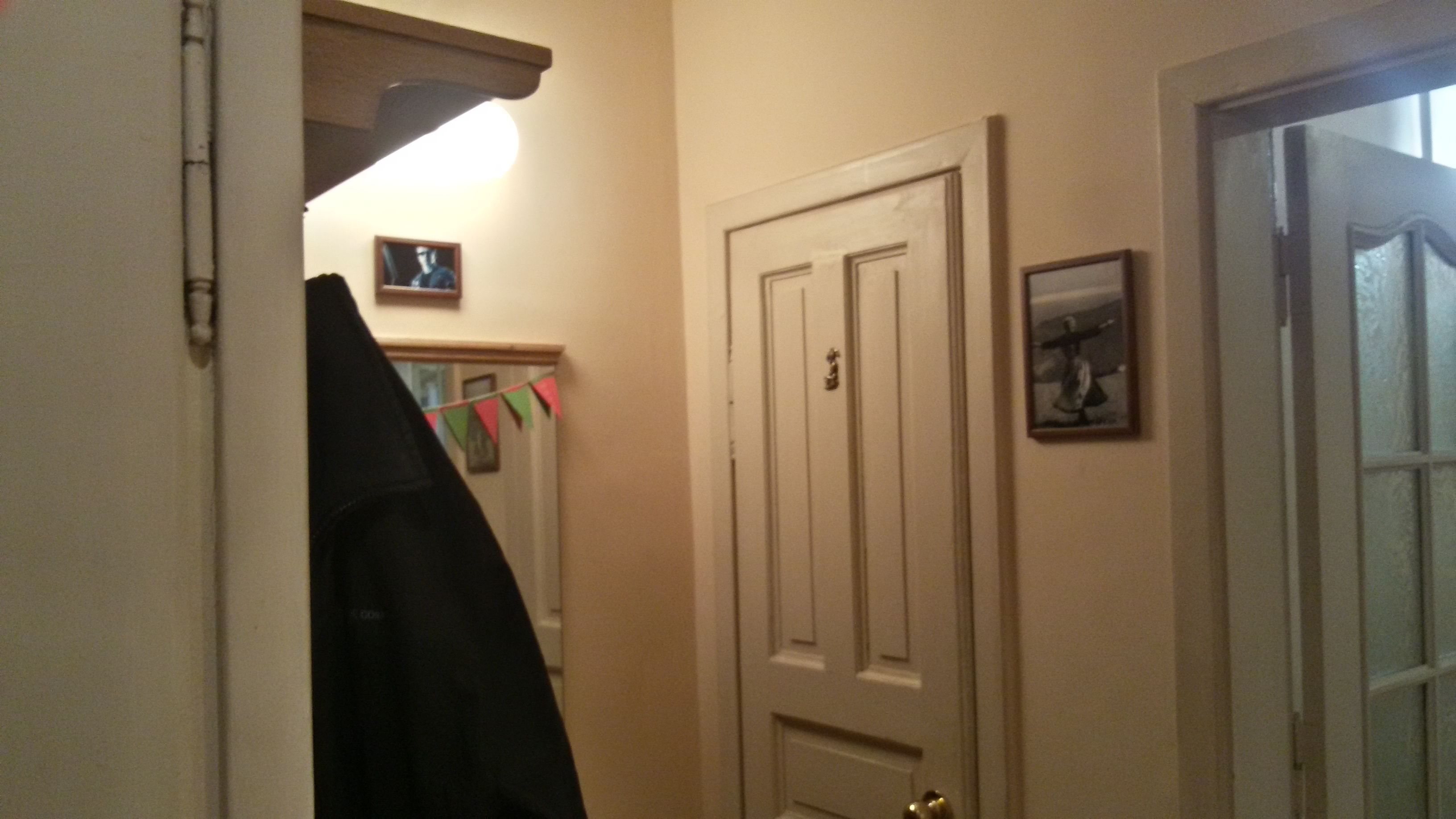 A hallway with a coat rack, a door with a brass handle, and a framed picture on the wall.