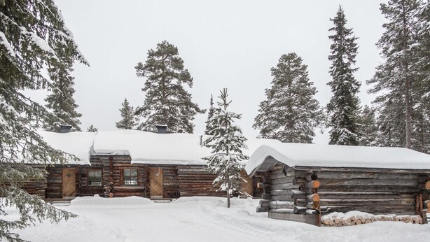 Une cabane en rondins dont le toit est recouvert de neige, entourée de grands arbres à feuilles persistantes.