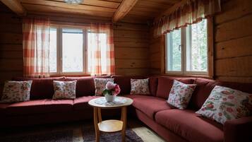 Fernseher, DVD-Player