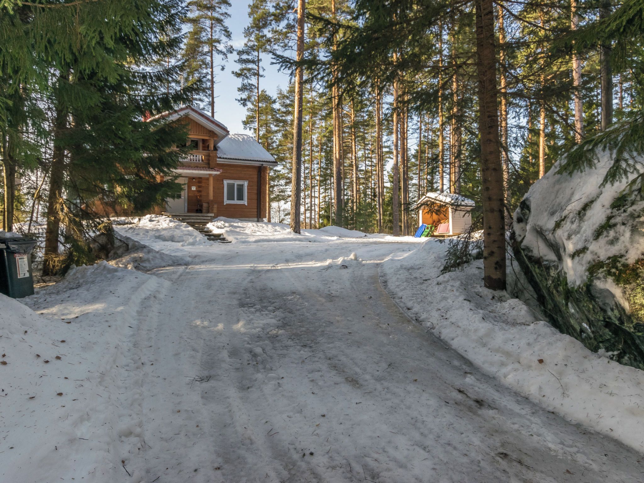 Une cabane en bois, dont l’allée est recouverte de neige, entourée de grands pins.